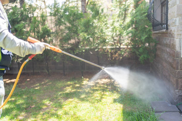 Spider Control Near Me in Eddystone, PA