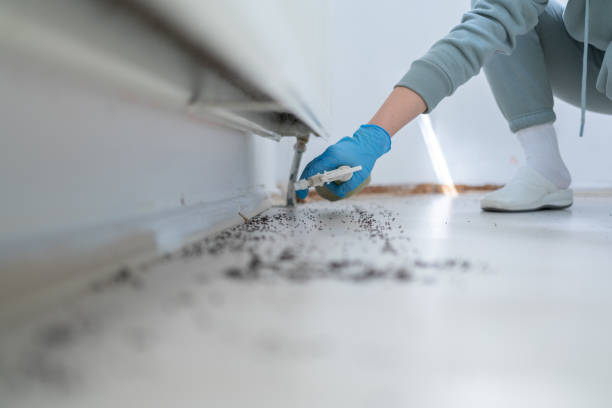 Best Affordable Pest Control Services  in Eddystone, PA